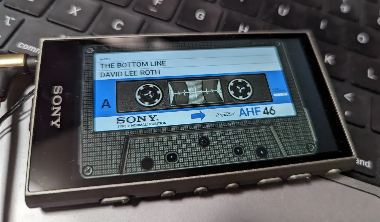 SONY Walkman NW-A300